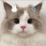 Araceli Román's avatar